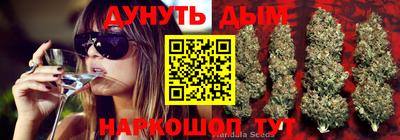 прущий лед Будённовск