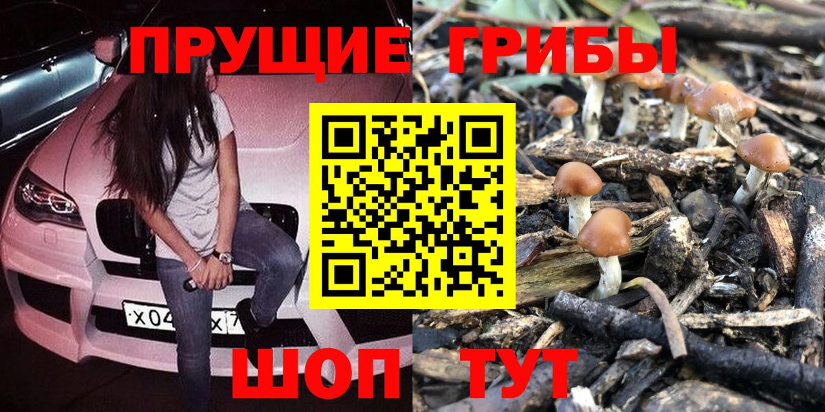Троицк  Галлюциногенные грибы Psilocybine cubensis  Галлюциногенные грибы мицелий  Вход с VPN 